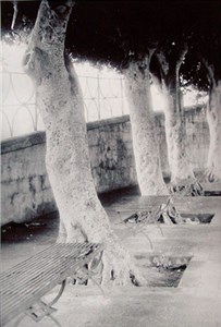 Image description is not available for 1999.052